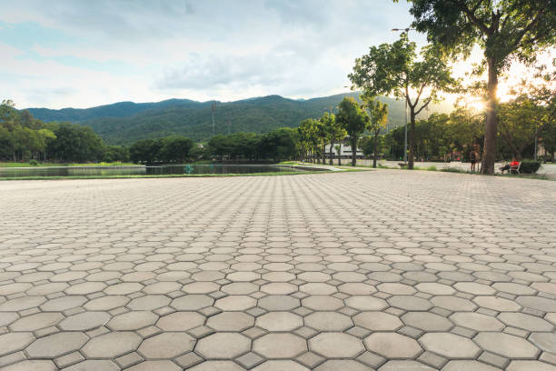 Best Brick Driveway Pavers  in Blue Mound, TX